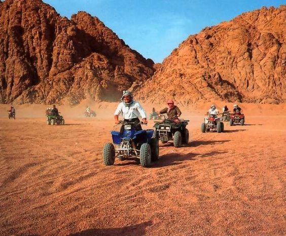 Wüstensafaris